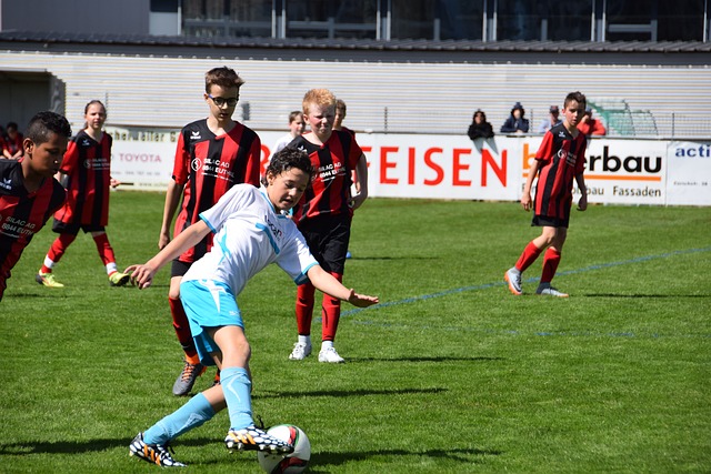 欧冠赛场从 欧冠赛场从