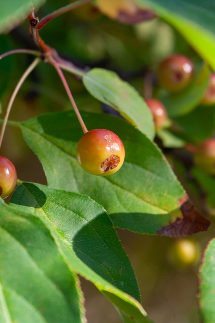 己的球拍签 己的球拍签