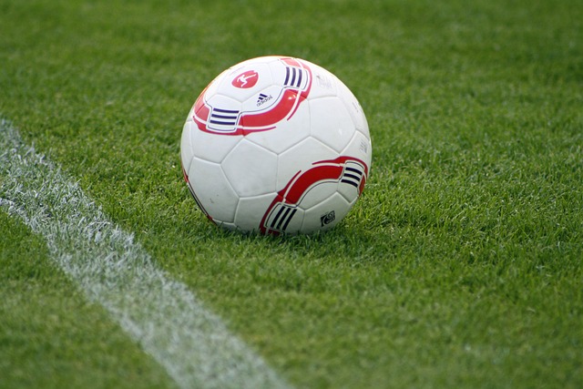 羽毛球｜女雙楊楊配資格賽出線　鄧謝配、伍家朗、李卓耀周三登場.