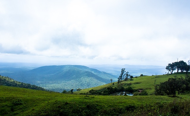 严惩不贷，NBA已对森林狼队与活塞队斗殴有关的 5 名球员实施了禁赛.