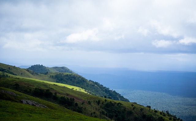 这个宿命 这个宿命