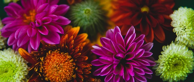 精准的传球 精准的传球