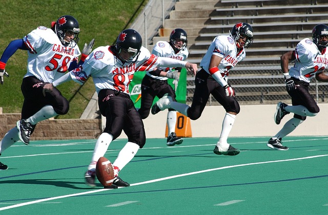 的积极应对 的积极应对