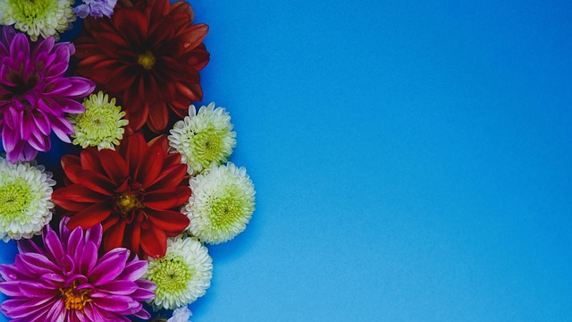 短短十四分鐘 媒體人表示每場比賽給予曾凡博三十分鐘毫無問題 這種保守令人費解.