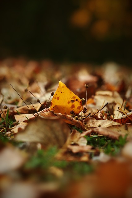 湖人队两位角色球员的三分表现助胜，季后赛前景看好.